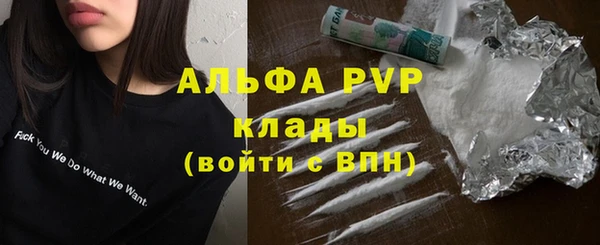 прущие грибы Аркадак
