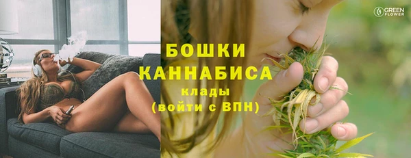 прущие грибы Аркадак