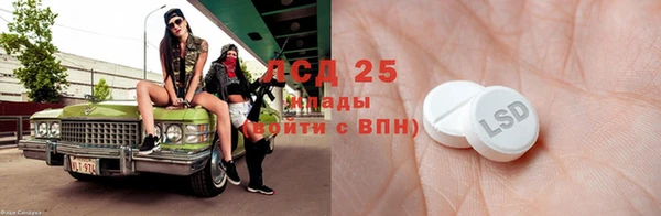 прущие грибы Аркадак
