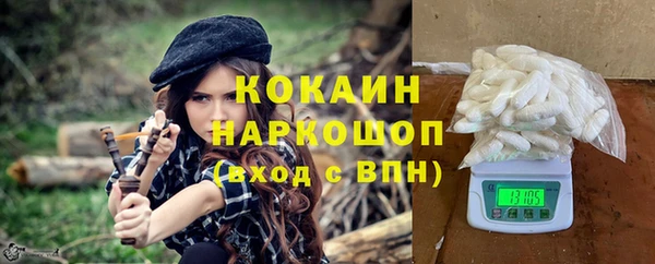 прущие грибы Аркадак
