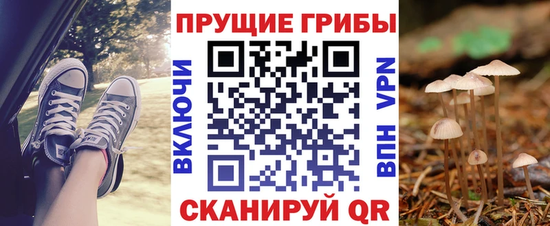 мега ссылка  Бавлы  Галлюциногенные грибы ЛСД  закладки 